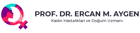 Prof. Dr. Ercan M. Aygen