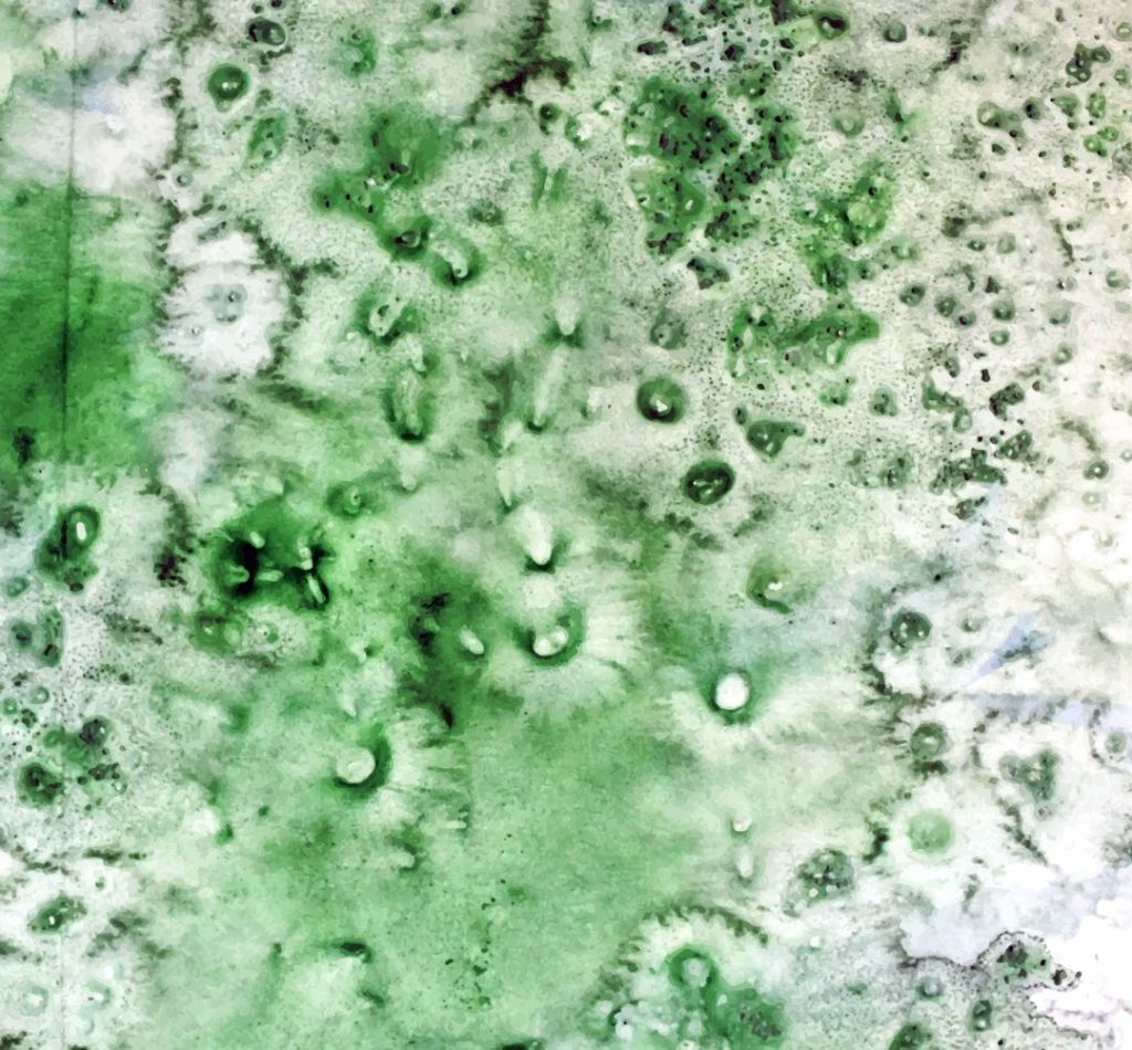 yeşil akıntı neden olur